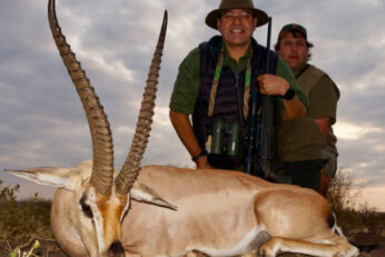 Gazelle hunter – Game – Fadystudios’s Blog